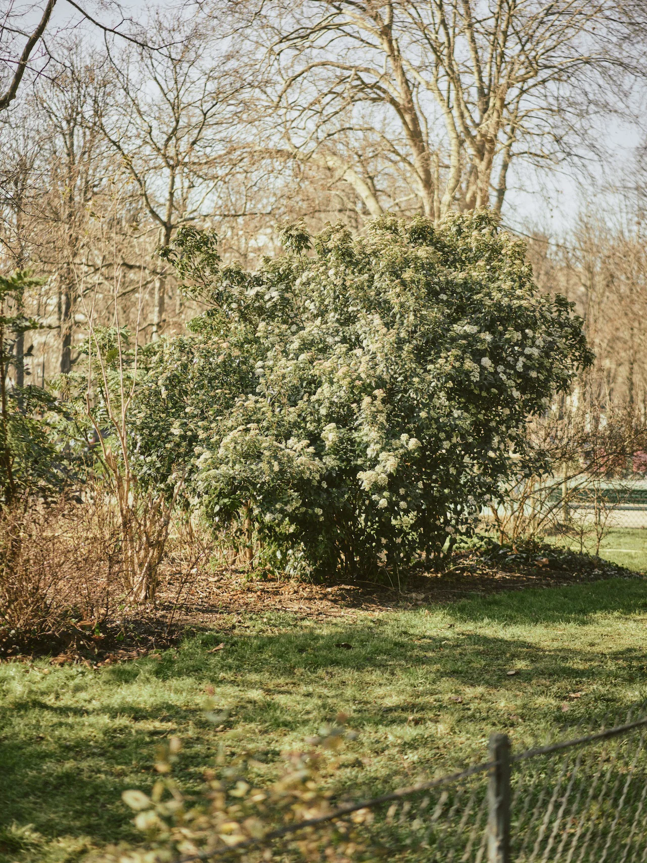 Casa Hiru Garden